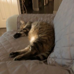 Meet your Posher, Kerrie